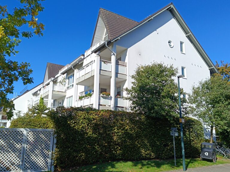 Seiten-und Rückansicht