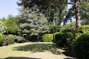 Gemeinschaftsgarten