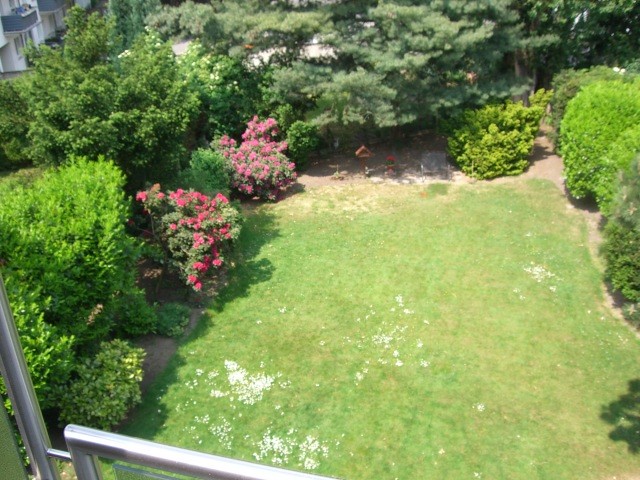 Blick vom Balkon
